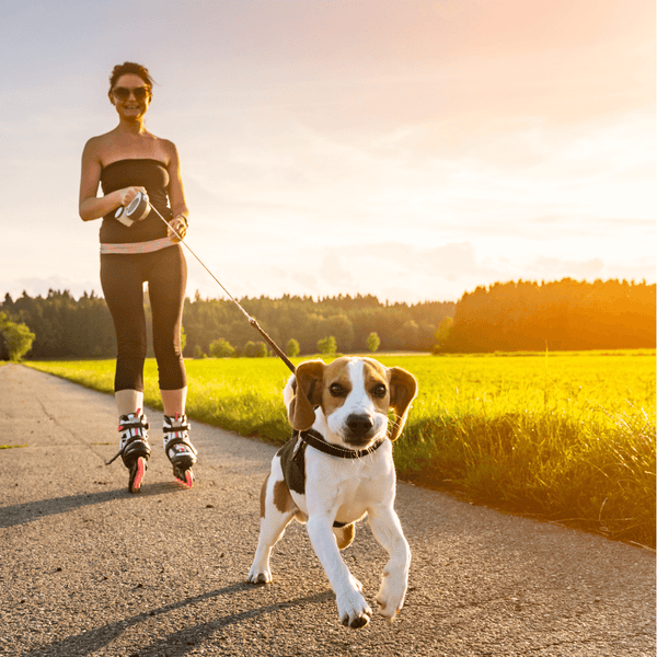 A women is roller-skating with a dog